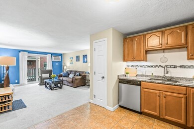 3 Karen Cir unit 16, Billerica, MA 01821 - photo 6