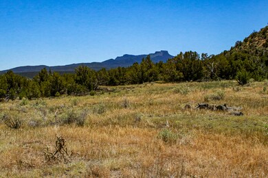 0 W North Ave, Trinidad, CO 81082 - photo 2