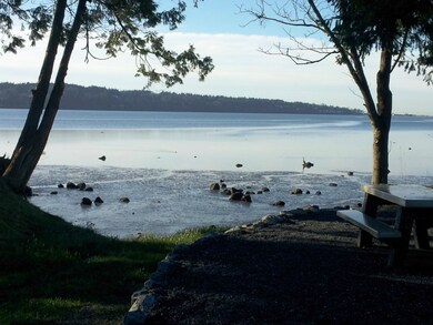 9039 Dearborn Ave, Blaine, WA 98230 - photo 4