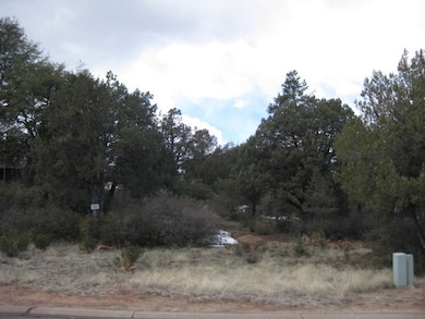 902 S Ridgeway St, Payson, AZ 85541 - photo 5