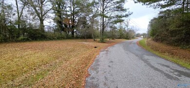 0.40 Dale St, Glencoe, AL 35905 - photo 5