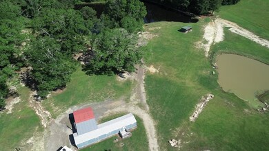 Aerial 3