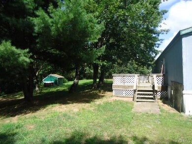 Deck & Back Yard