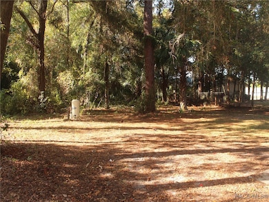 926 N Colin Kelly Point, Crystal River, FL 34429 - photo 3