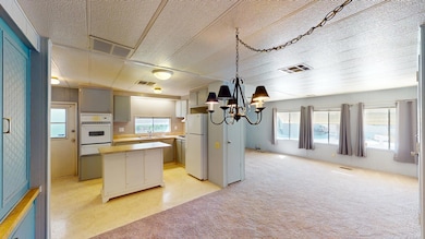 162-Coyote-03032025_154657