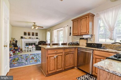 4020 Blue Slate Dr, Alexandria, VA 22306 - photo 6