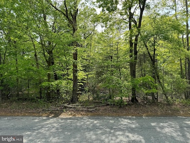 0 Old Marshall Hall Rd unit MDPG2145050, Accokeek, MD 20607 - photo 3