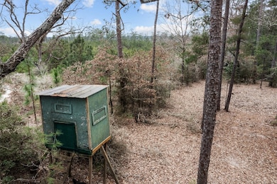 9422 Farm To Market 62, Barnum, TX 75939 - photo 4