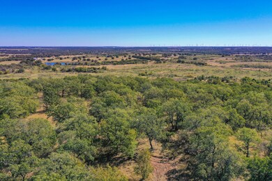 34.38 Acres Lester Rd, Jacksboro, TX 76458 - photo 5
