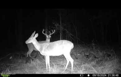 2 Highway 25 Hwy, Flowood, MS 39047 - photo 6