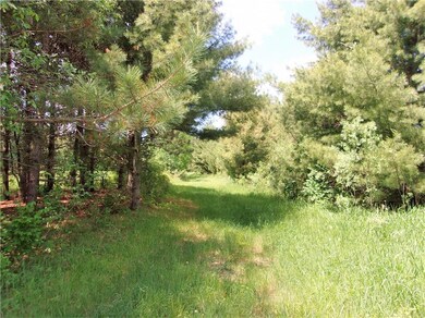 0 Old 35 unit 1531995, Webster, WI 54893 - photo 6