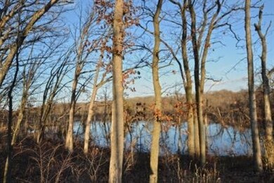 12952 Baker Ct, Crown Point, IN 46307 - photo 2