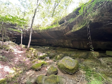 Crockett Rd, Haleyville, AL 35565 - photo 3