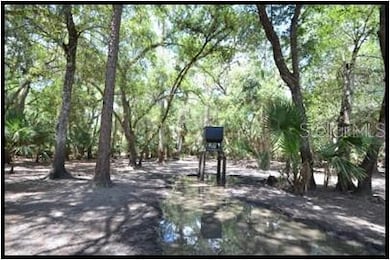 Hunting Stand