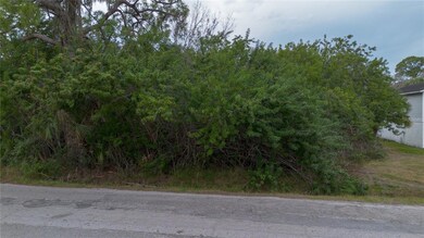 6317 Oelsner St, New Port Richey, FL 34652 - photo 4