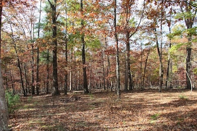 0 Easter Ridge Ln unit LotWP007A 23743104, Gainesboro, VA 22603 - photo 5