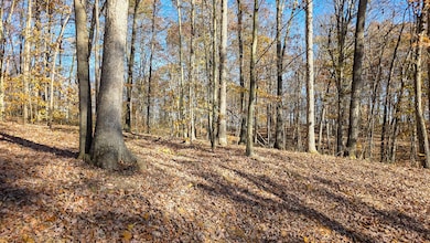 586 Nibert Rd unit (Ponds Poplar Ridge, Gallipolis, OH 45631 - photo 4