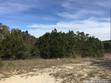 18810 Shadow Canyon Dr, Helotes, TX 78023 - photo 6