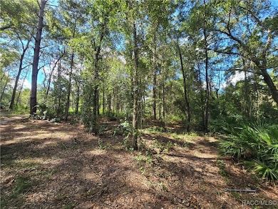 4286 N Carl G Rose Hwy, Hernando, FL 34442 - photo 6