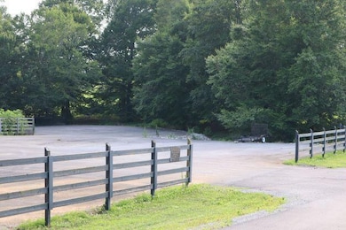 IMG_0163(2)
