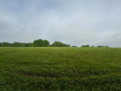 55 Paradise Aly, Russell Springs, KY 42642 - photo 3