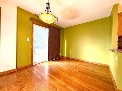 1537 Chatfield Ct unit 13604, Roselle, IL 60172 - photo 5