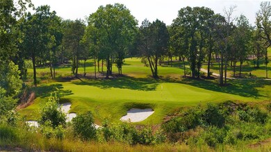 Lot 16 Castle Pines, Gordonville, TX 76245 - photo 4