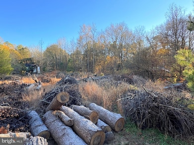 8385 Hurleys Neck Rd, Mardela Springs, MD 21837 - photo 4