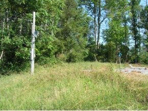 Homesite w water and septic