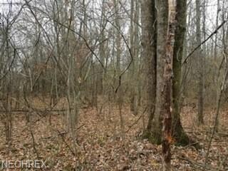 0 Parsons Rd, Oberlin, OH 44074 - photo 2