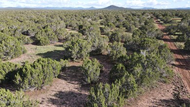 DJI_0084