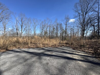 37 Village Dr, Cohutta, GA 30710 - photo 3