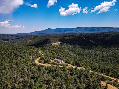 33050 Coyote Tract Trail, Trinidad, CO 81082 - photo 3