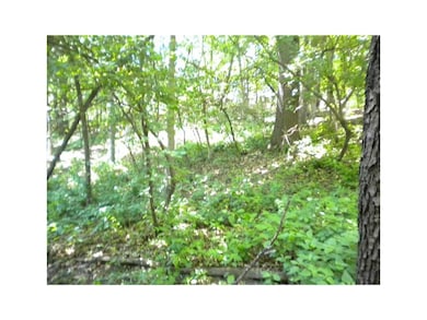 Yard.