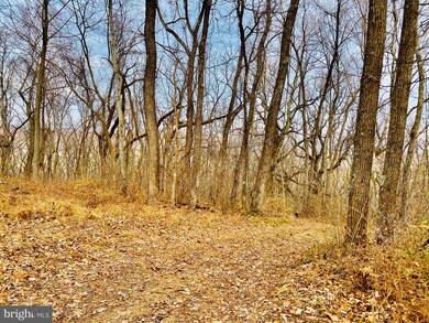 0 John Marshall Hwy unit VAFQ2002342, Markham, VA 22643 - photo 7