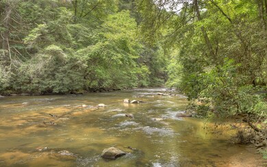 Additional View