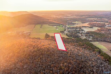 20 Six Mile Rd, Somerville, AL 35670 - photo 6