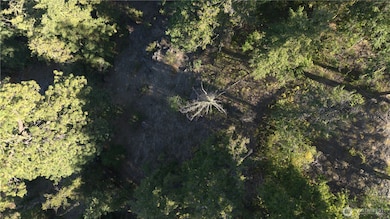 0 Old Blewett Pass Hwy, Peshastin, WA 98847 - photo 4