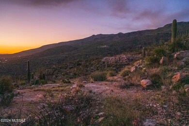 13013 E Cabeza de Vaca St unit Lot C, Tanque Verde, AZ 85749 - photo 4