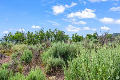 11 S Skyline View Dr E unit 2, Heber City, UT 84032 - photo 5