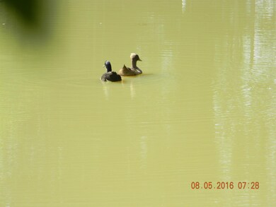 225 Temple Ford Rd, Shelbyville, TN 37160 - photo 5