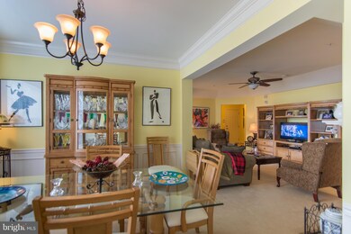 8612 Wintergreen Ct unit 202, Odenton, MD 21113 - photo 3