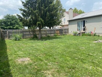 Backyard 3