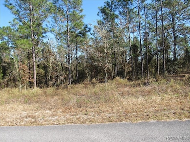 0000 SW Sands Pt Ave, Dunnellon, FL 34431 - photo 2