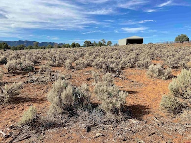 Tract 7 Road K 3, Cortez, CO 81321 - photo 2