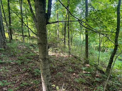 266 Golf Course Rd unit (Tract 9 Skyline Acr, Pebble Township, OH 45690 - photo 6