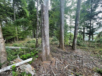 T/L 4000 SE Port Dr, Lincoln City, OR 97367 - photo 5