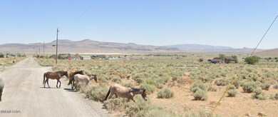 0 Seneca Rd unit 250054404, Stagecoach, NV 89429 - photo 2