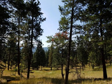 Nhn Torto Loop, Kila, MT 59920 - photo 5