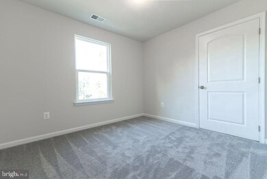 265 Spring Warbler Way, Shepherdstown, WV 25443 - photo 7